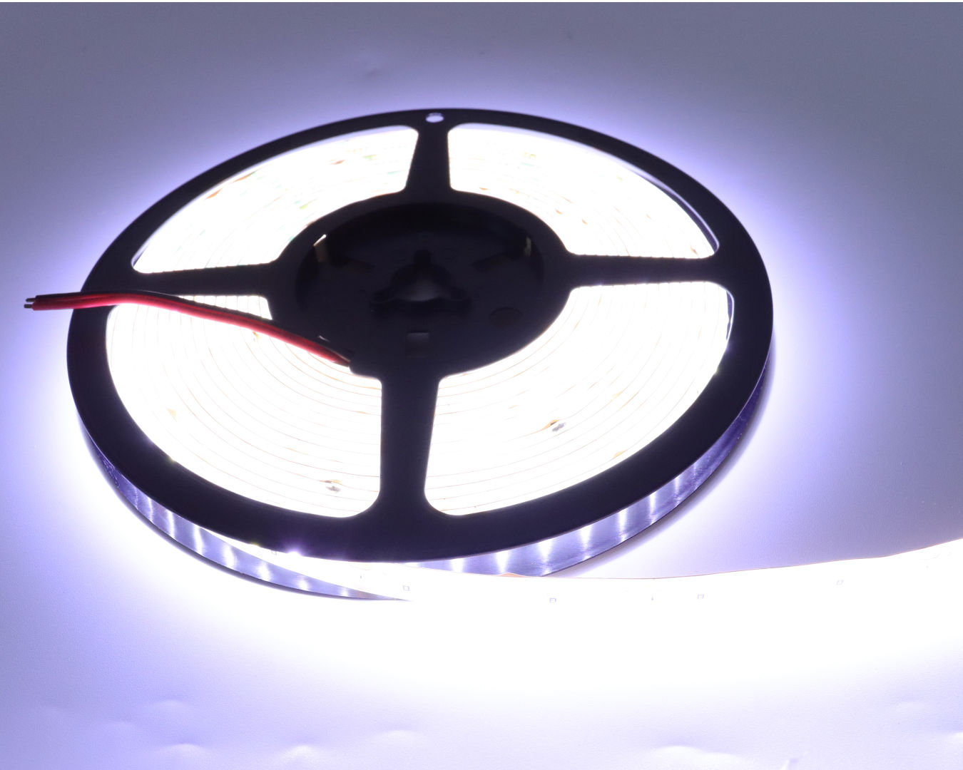 BANDA LED 9.6W/m IP20 6500K 24V 5m/rola