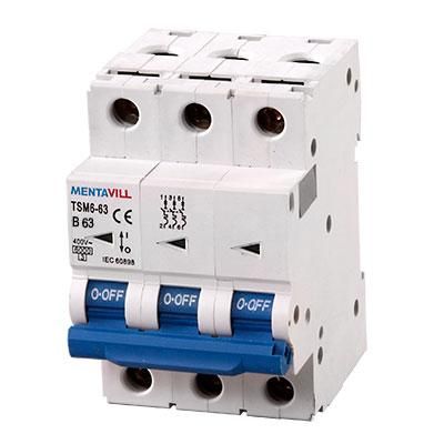 DISJ 3P B 63A 6KA 420052