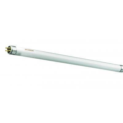 TUB FLUORESCENT T5 13W 6400K
