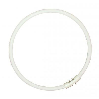 TUB FLUO. CIRCULAR 40W T5 2GX13 840