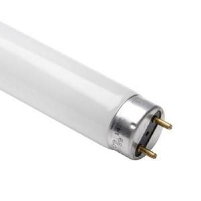TUB FLUORESCENT 25W T8 742.2mm LUMINA NEUTRA 840