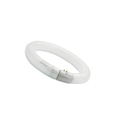 TUB FLUO. CIRCULAR 40W T9 G10q 865