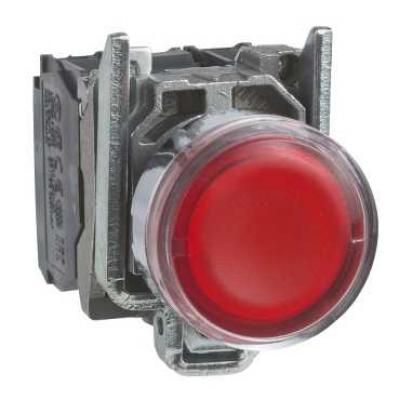 BUTON CU LAMPA ROSIE